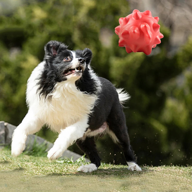 Pet Chew Toy