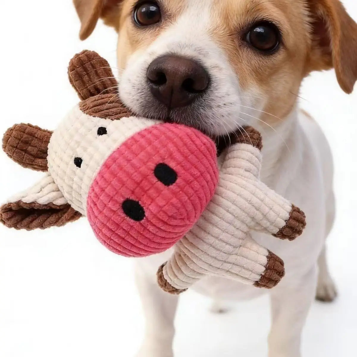 Cute Plush Toys Squeak Pet Cow Rabbit Animal Plush Toy Dog Chew Squeaky Whistling Involved Squirrel Dog Toys