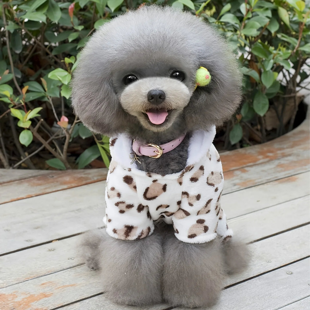 Leopard Print Four-legged Dog Coat