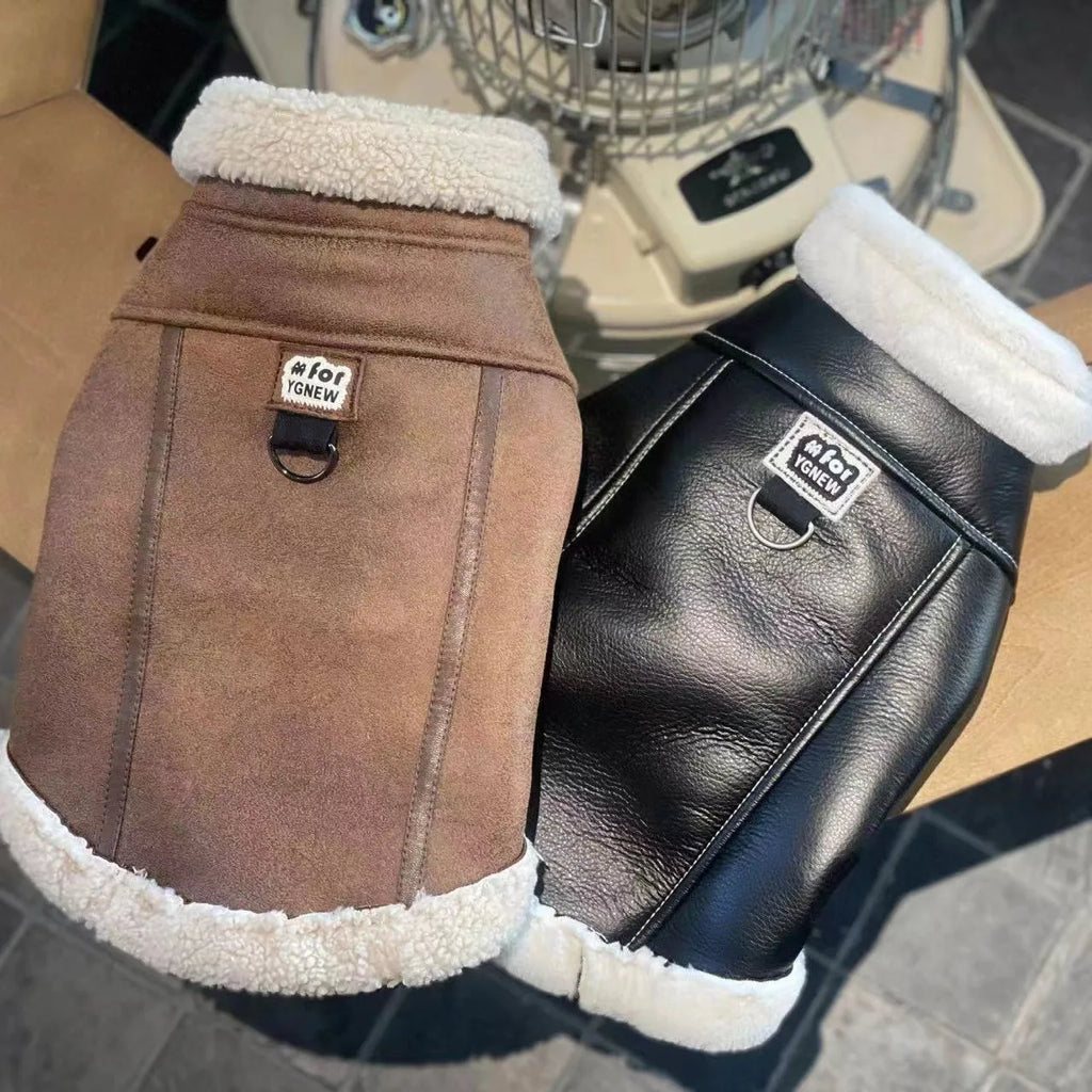 Fashion Winter Pet clothes