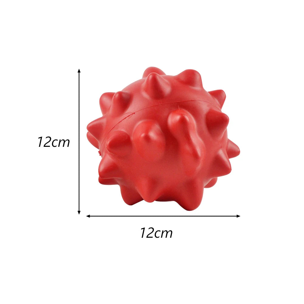 Pet Chew Toy