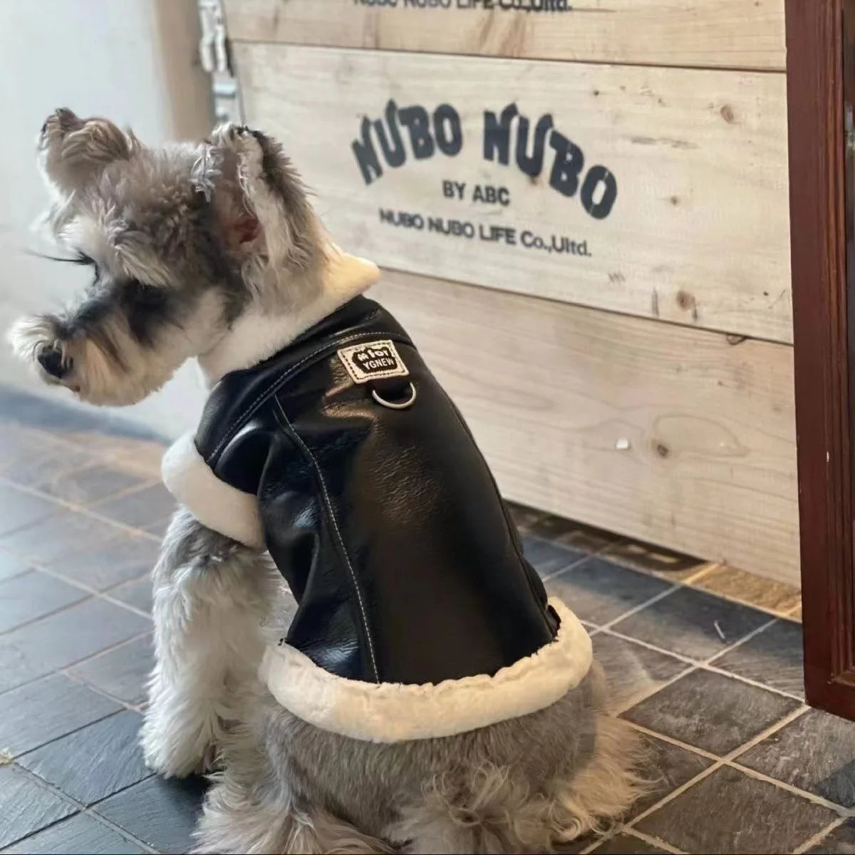 Fashion Winter Pet clothes
