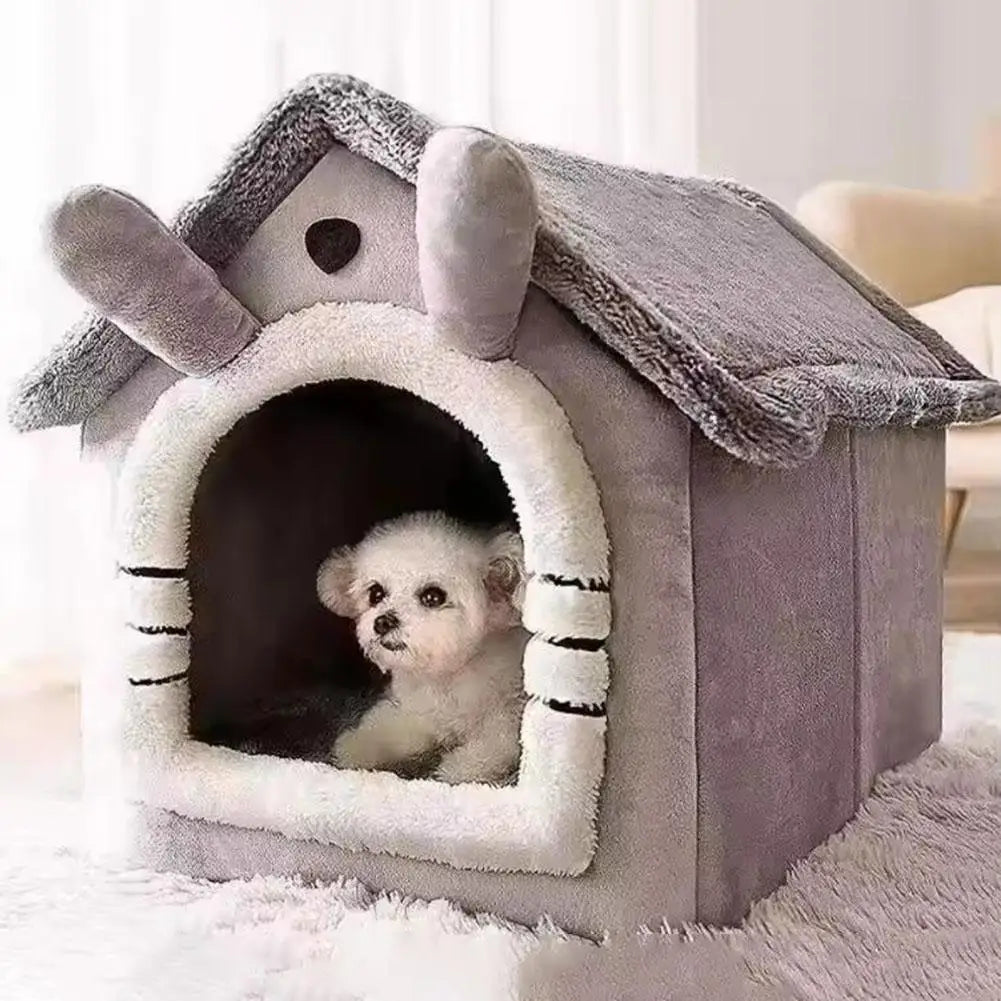 House for dog and cat