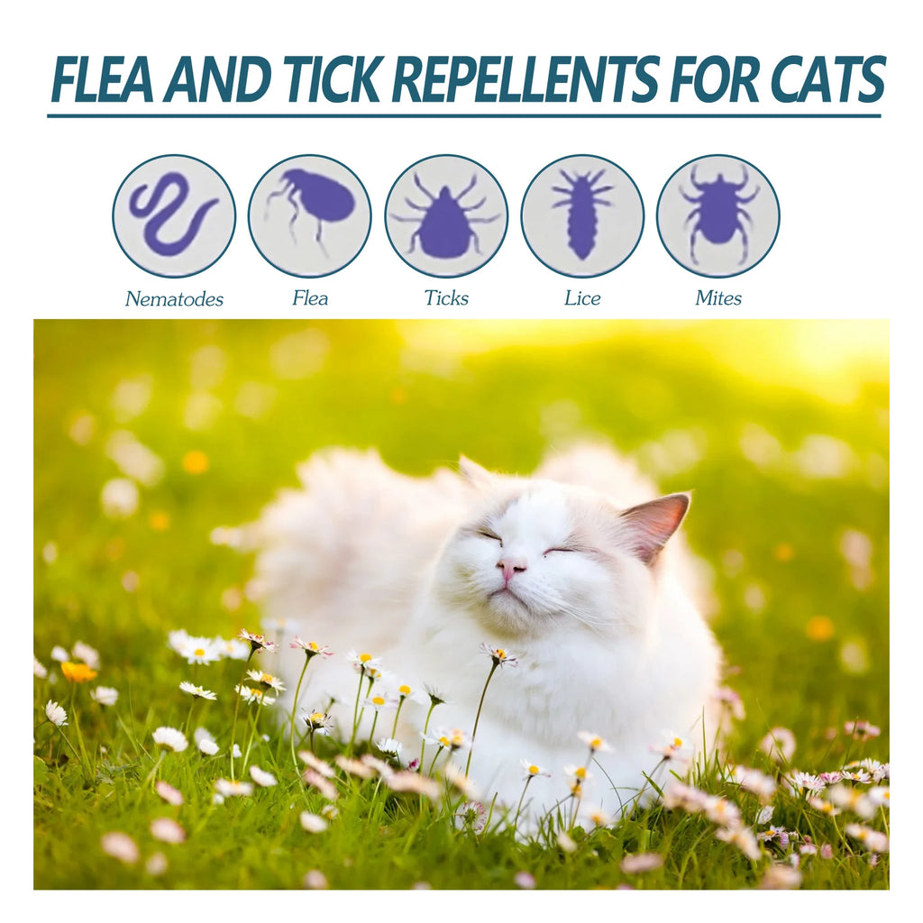 Pet Deworming Drops