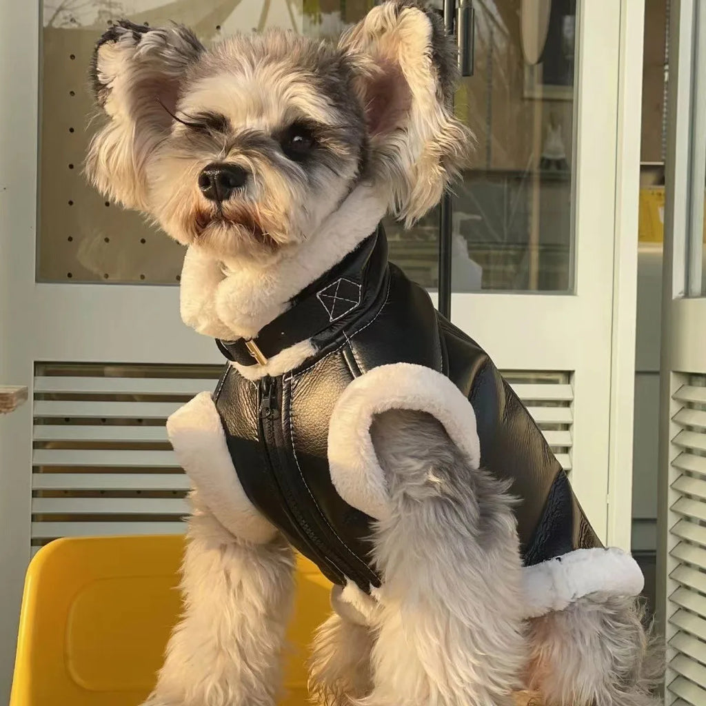 Fashion Winter Pet clothes