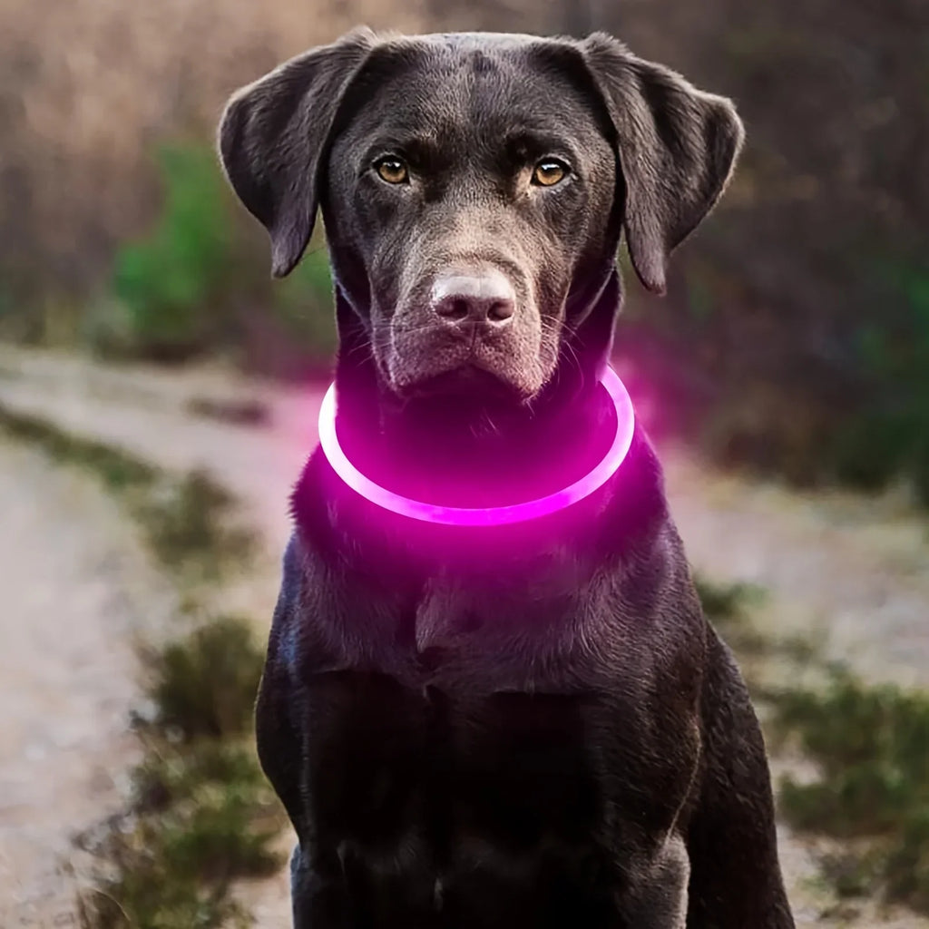 USB Rechargeable Fiber Optic Collar