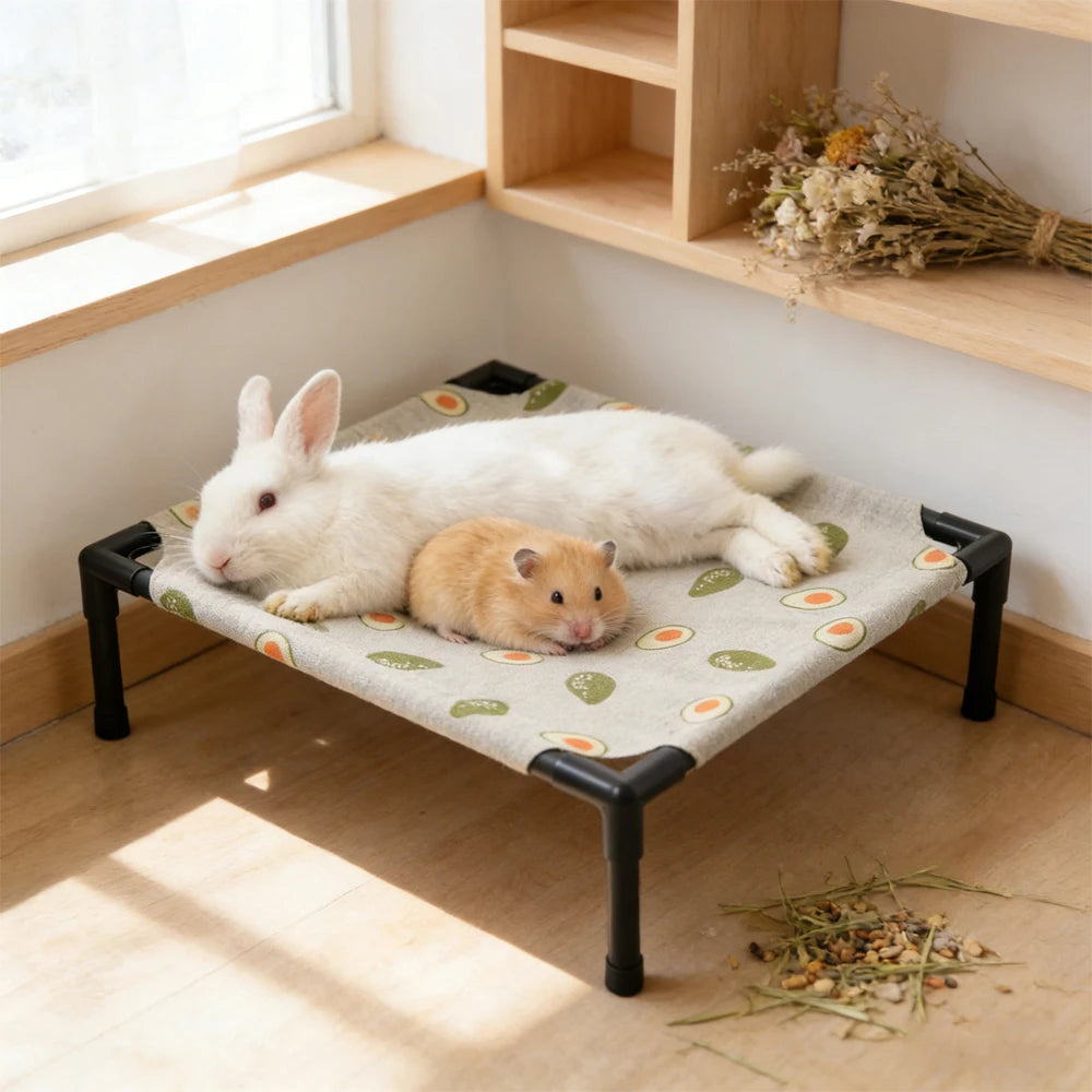 Elevated Pet Bed for Small Animals