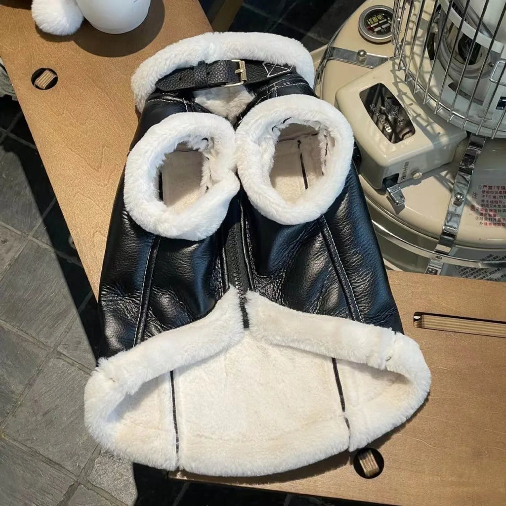 Fashion Winter Pet clothes