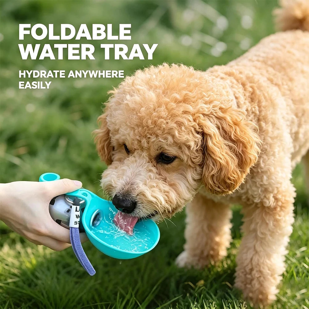 2 in 1 Portable Dog Water Bottle, 10oz Stainless Steel No-Spill Travel Pet Water Dispenser with Silicone Bowl for Small Dog