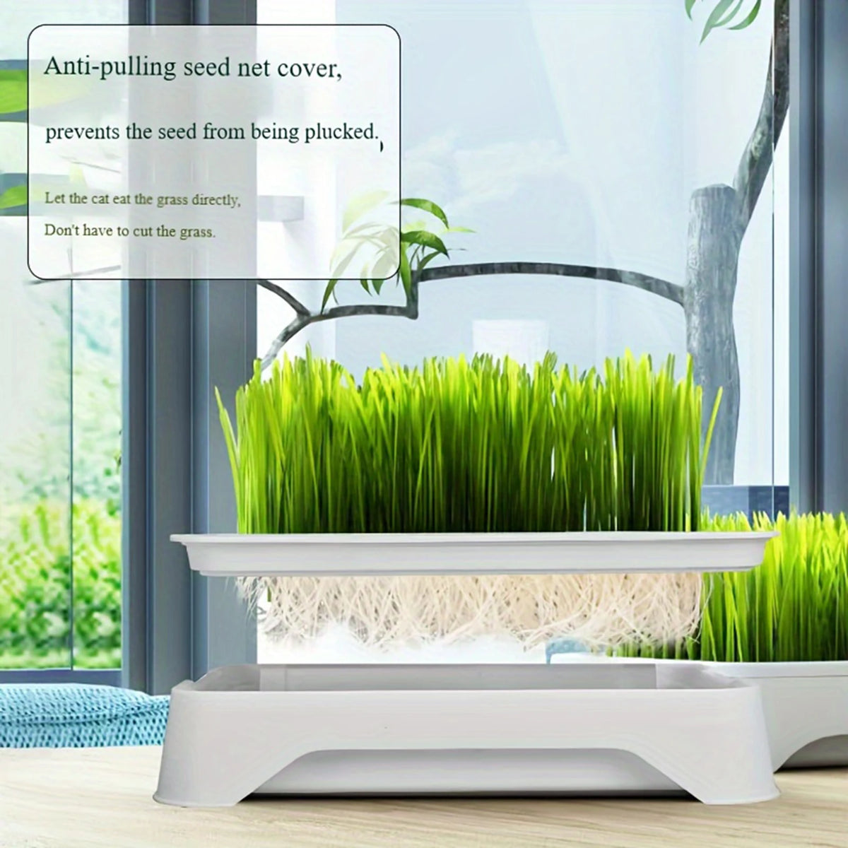 Pet Cat Grass Planting Pot