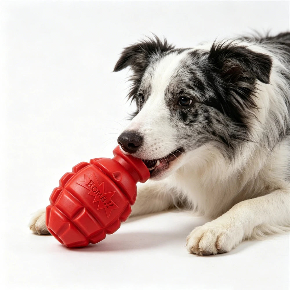 Pet Chew Toy