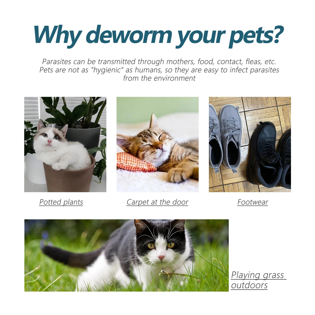 Pet Deworming Drops