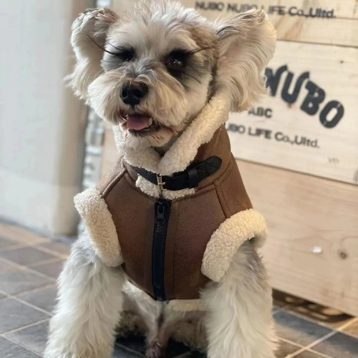 Fashion Winter Pet clothes