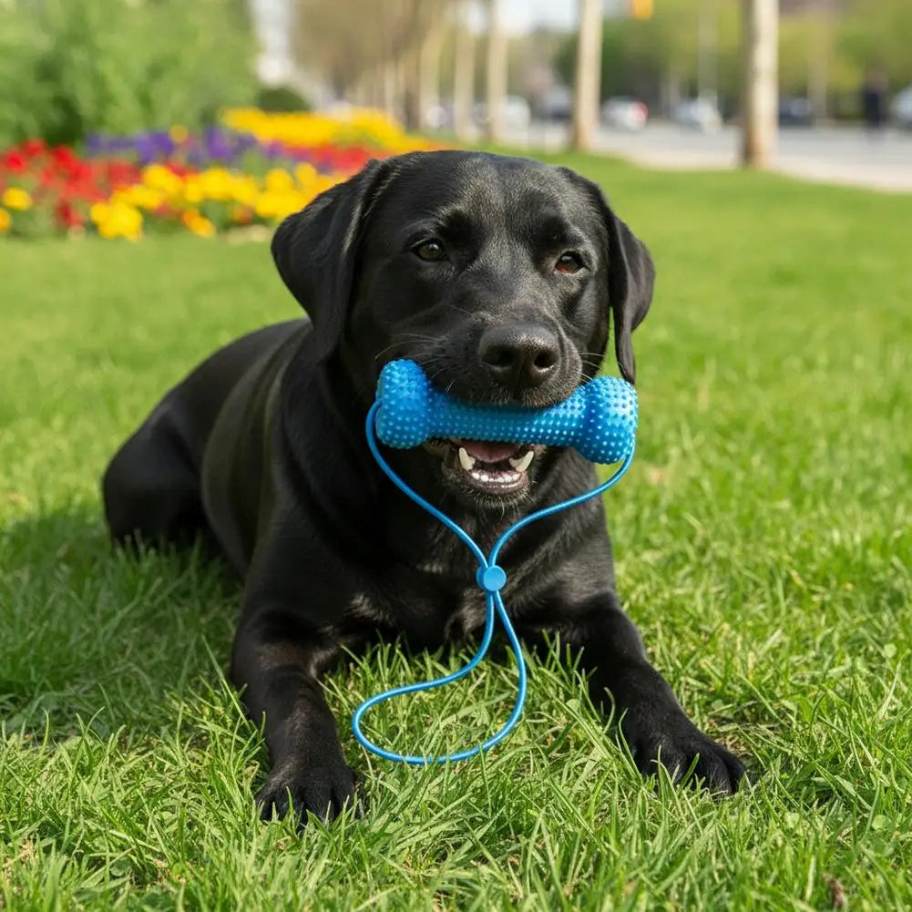 10/15cm Dual-Action Canine Dental Mouth Prop Pet Dental Chew Toy Auxiliary Tool For Easy Dog Teeth Brushing ﻿