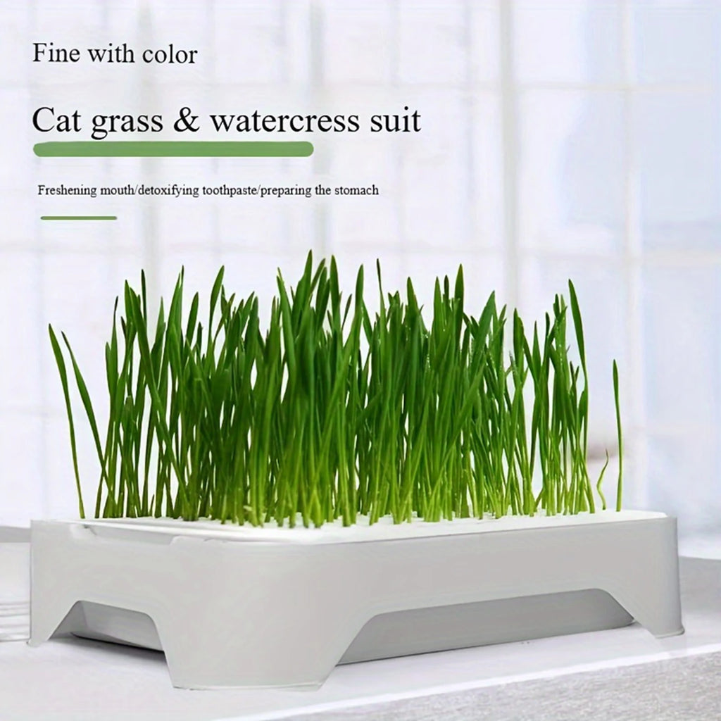 Pet Cat Grass Planting Pot