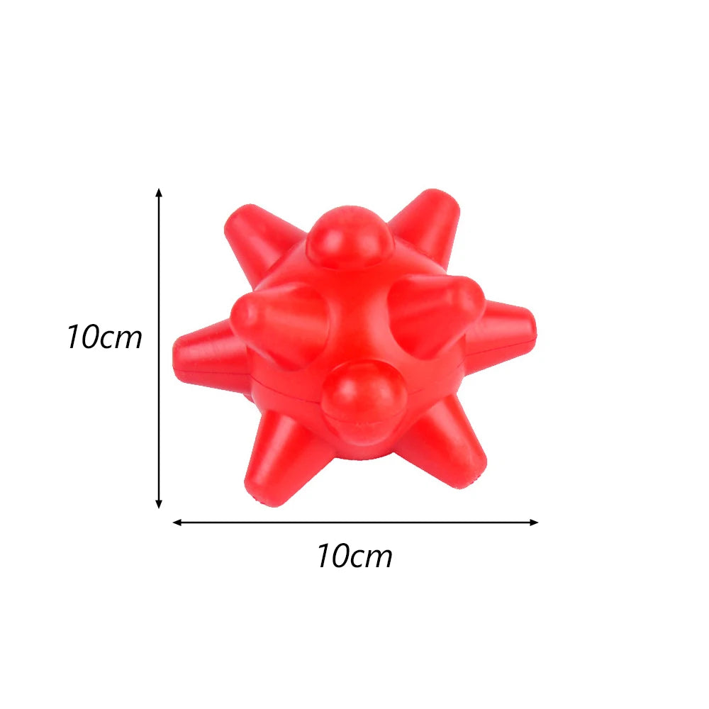Pet Chew Toy